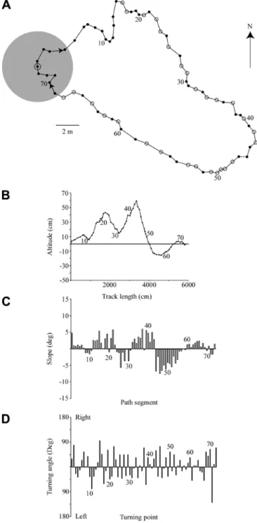 Fig. 2 A Example of a spiders path and B its altitude proﬁle. C Slope histogram, and D turning-angle histogram