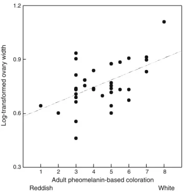 Fig. 2 Relationship between log 10 -transformed ovary width and pheomelanin-based coloration in adult barn owls