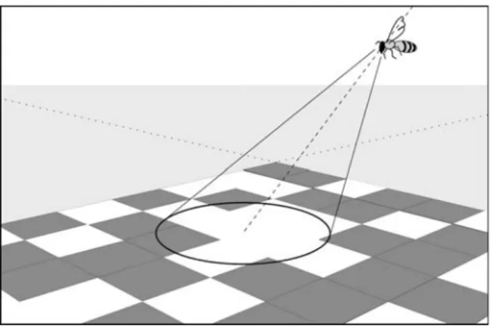 Fig. 15 An example of a neuromodulatory network evolved with analog genetic encoding, which solves the foraging task of Fig