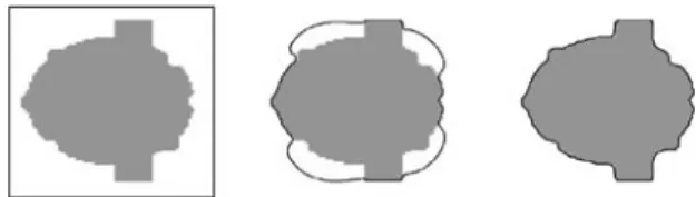 Figure 11. Evolution of the geodesic active contour without shape prior information.
