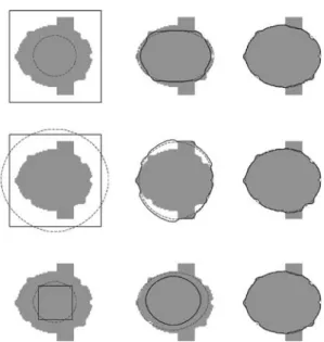 Figure 14. Evolution of the geodesic active contour without shape prior information.