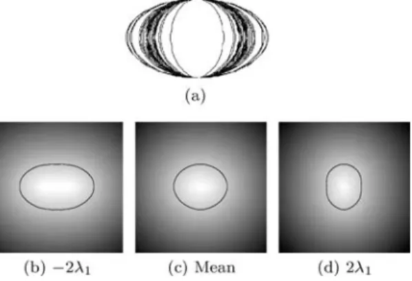Figure 1. Figure (a) presents the 30 aligned training ellipses with the mean ellipse in dotted line