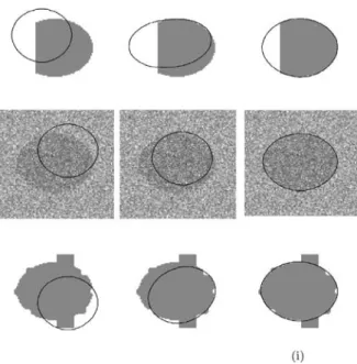 Figure 9 shows that the minimization of F region seg- seg-ments objects of interest when a part of information is missing and in presence of noise and occlusion
