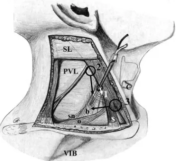 Fig. 1 Right lateral cervical region illustration showing the technique of the supraomohyoidal block in comparison to other existing techniques
