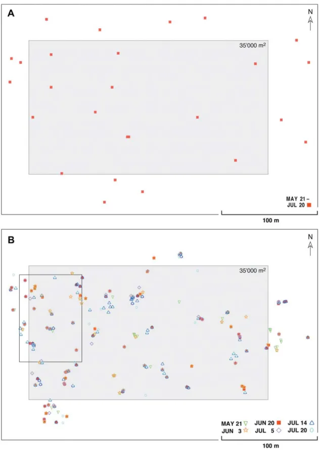 Figure 1. Nest site maps of A C. fortis and B C. bicolor in 1989: intra-annual variation