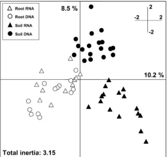 Figure 5. Correspondence analyses of bacterial community profiles for different root types, stages and proximity using 16S rDNA- and rRNA-based DGGE profiles (n = 3–4)