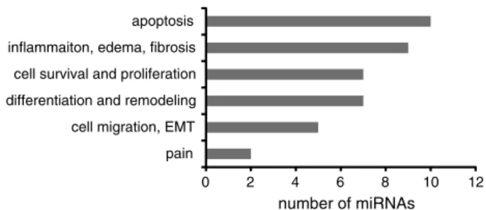 Fig. 3   miRNA functions. Number of miRNAs, altered in BPS and  associated with a specific function