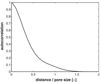 Fig. 11 Autocorrelation of the mean streamwise velocity component of a jet entering the pore along its centerline