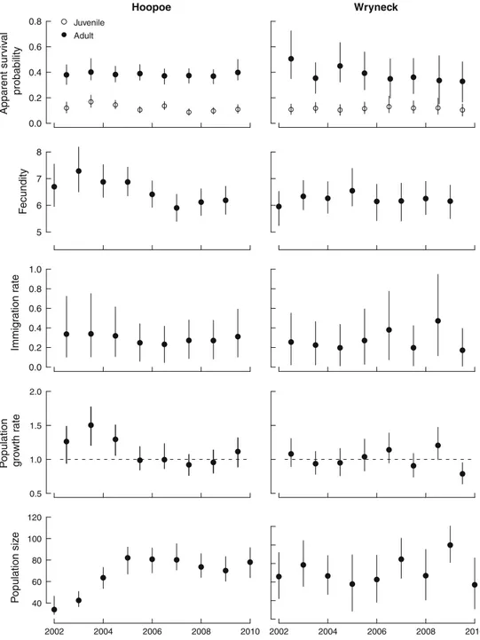 Fig. 1 Estimates of annual demographic parameters, population growth rates and population sizes (population index for the wryneck) obtained from the integrated population model along with 95% credible intervals for hoopoe Upupa epops (left panel) and wryne