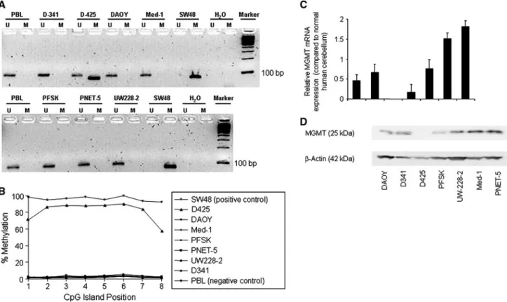 Fig. 1 Methylation status of the MGMT promoter in MB/PNET and control cells, as determined by nested methylation-specific PCR (a) and pyrosequencing (b)