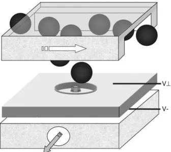 Figure 1 shows a schematic representation of our sys- sys-tem. A recent discussion of microchip technology in ion channel research has been given in (Sigworth and Klemic 2005)