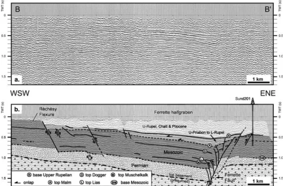 Figure 7 gives simpliﬁed stratigraphic columns for three exploration wells located within the Ferrette  half-gra-ben, on the Ferrette horst and on the eastern ﬂank of the half-graben, respectively (see also Fig