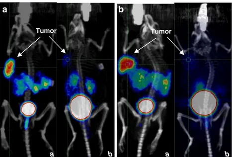 Fig. 6 MicroPET/CT images of LNCaP (a) and PC-3 (b) tumour-bearing nude mice after injection of 68 Ga-RM2 at 1 h (a) and 1 h blocking (b)