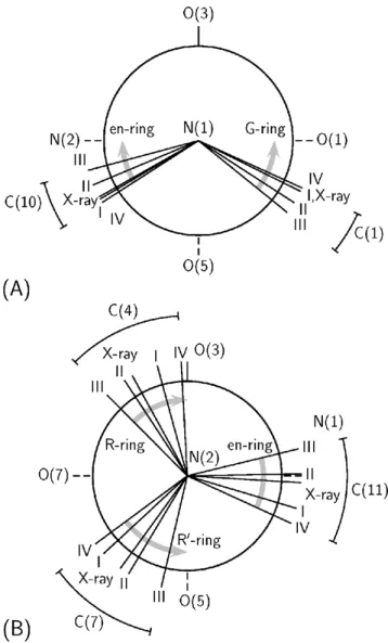 Fig. 3. Newman projections for the bonds between Cr and: (A) secondary nitrogen, and (B) tertiary nitrogen