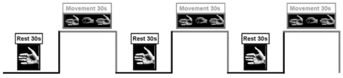 Figure 2 shows the size of the activated motor area expressed in pixels (1 pixel = 2 £ 2 mm 2 ) during  pre-fasting and pre-fasting