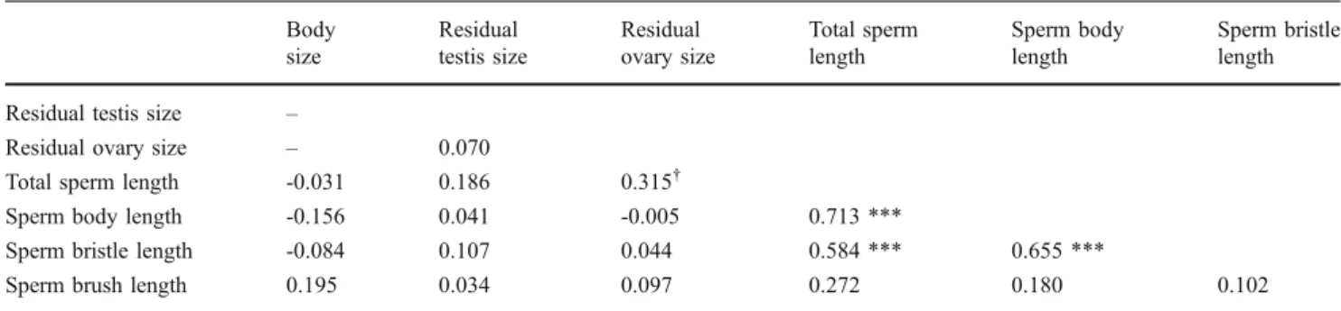 Fig. 4 Comparison of the individual means of (a) total sperm length, (b) sperm body length, (c) sperm bristle length, and (d) sperm brush length between worms raised in pairs (n=24) and octets (n =24)