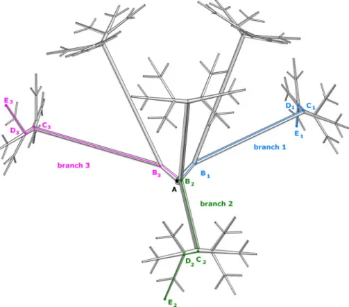FIGURE 1. Arterial tree measurement point selection.