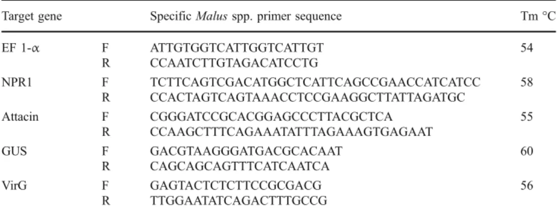 Table 1 Primer sequences used for polymerase chain reaction
