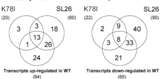 Fig. 2 Microarray analysis. Transcripts are grouped as up- (a) or down (b)-regulated in cells expressing wild type LKB1 and the numbers of these that are misregulated by a given LKB1 mutation are indicated