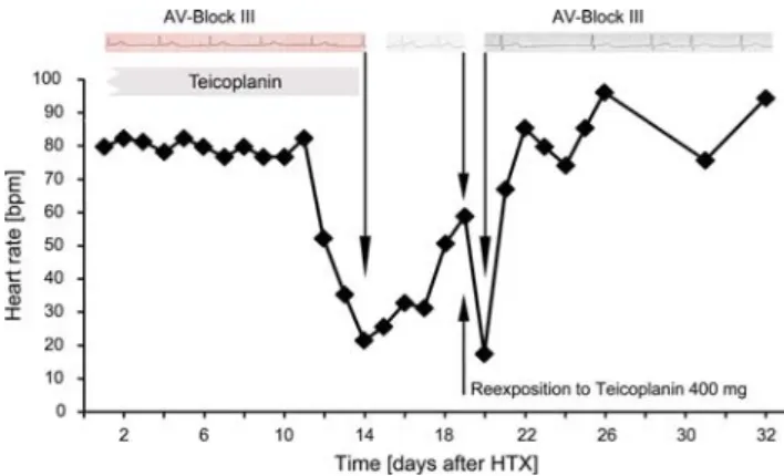 Figure 1. Heart rate after orthotopic heart transplantation (HTX).