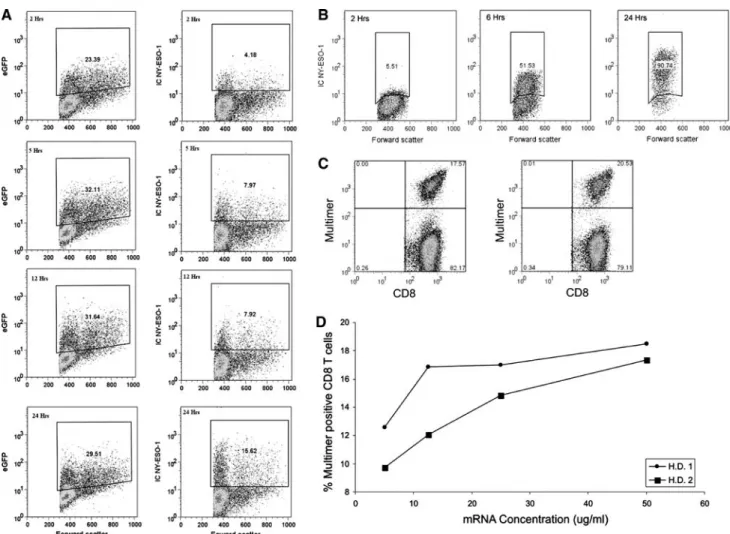 Fig. 1 Optimisation of mRNA transfection eYciency. a T-APC were transfected with 50 g/ml of mRNA encoding eGFP (left) or  NY-ESO-1 (right) and samples Wxed at the time points indicated