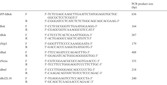 Table 1.  PCR primers used to generate fragments for hBok constructs and to detect mouse Bcl2-related gene expression PCR product size  (bp) GFP-hBok F 5¢-TCTCGAGCAAGCTTGAATTCTATGGAGGTGCTGC 636 GGCGCTCCTCGGT-3¢ R 5¢-CGGGATCCTCATCTCTCTGGCAGCAGCACGAAG-3¢ hBo