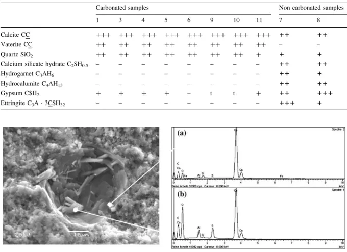 Fig. 5 SEM-EDS analysis of a pore recovered by portlandite (EDS spectrum a) and ettringite needles (EDS spectrum b)