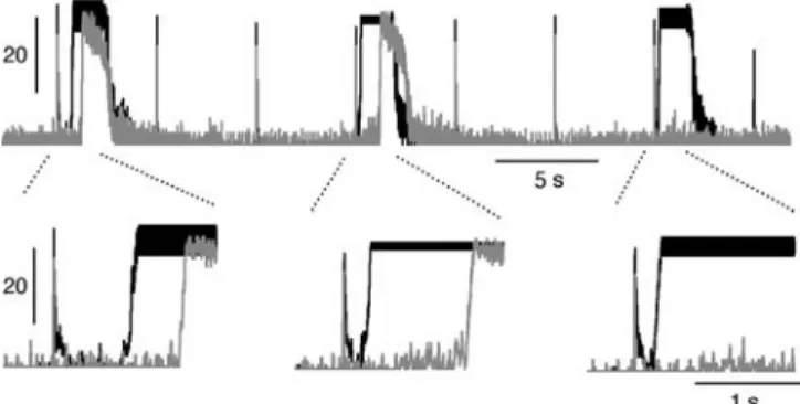 Fig. 7 Activity-dependent coupling. Network plots of two com- com-partments in a compartment culture are superimposed (gray and black)