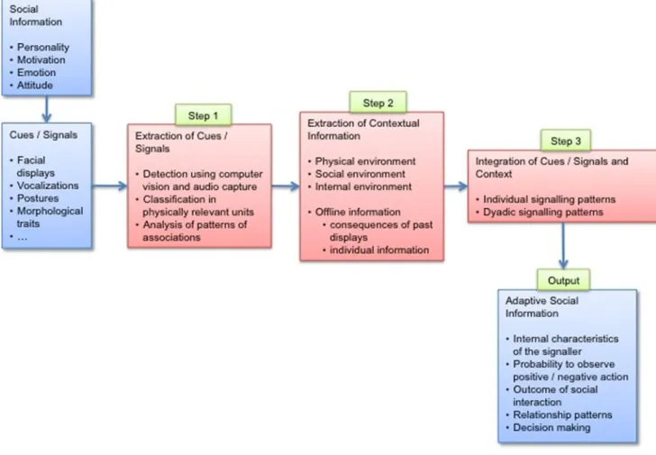 Fig. 2 Essential steps for social signal processing