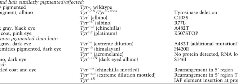 Table 1. Phenotype and molecular lesion of selected Tyr locus alleles