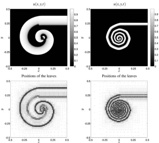 Fig. 12 Examples 6 and 7: Recovery fronts and adaptive tree structures at time t = 80 calculated by Scheme A-MR-LTS using constant (left) and strongly degenerate diffusion (right)
