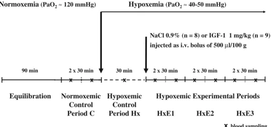 Fig. 2 Survival rates in percent. Survival was dependent on treatment with IGF-1 when compared with treatment with sodium chloride (NaCl), when the chi-square test was utilized