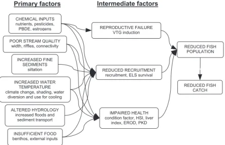 Figure 3. This boxes-and-arrows diagram shows the relations between the primary and intermediate factors and effects.