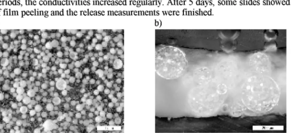 Figure  4.  a) Photograph of a PHAE/PS(ZA) coating with embedded microcapsules,  b)  cross-  section of this coating with a film thickness  of  about 450  pm