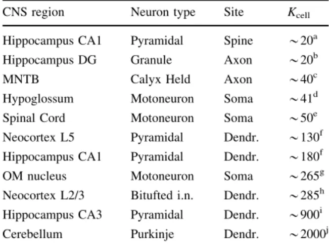 Table 2 Endogenous buffering capacities of some neurons.