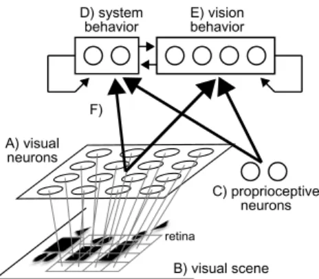 Fig. 2. The architecture is composed of a a grid of visual neurons with nonoverlapping receptive ﬁelds whose activation is given by b the gray level of the corresponding pixels in the image; c a set of proprioceptive neurons that provide information about 
