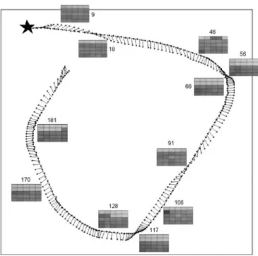 Fig. 16. Robot trajectory (short arrows) and horizontal camera displacement (long arrows) of the best individual of generation 12 tested for one trial