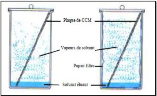 Figure III-2: cuve de CCM (Akroum, 2006). 