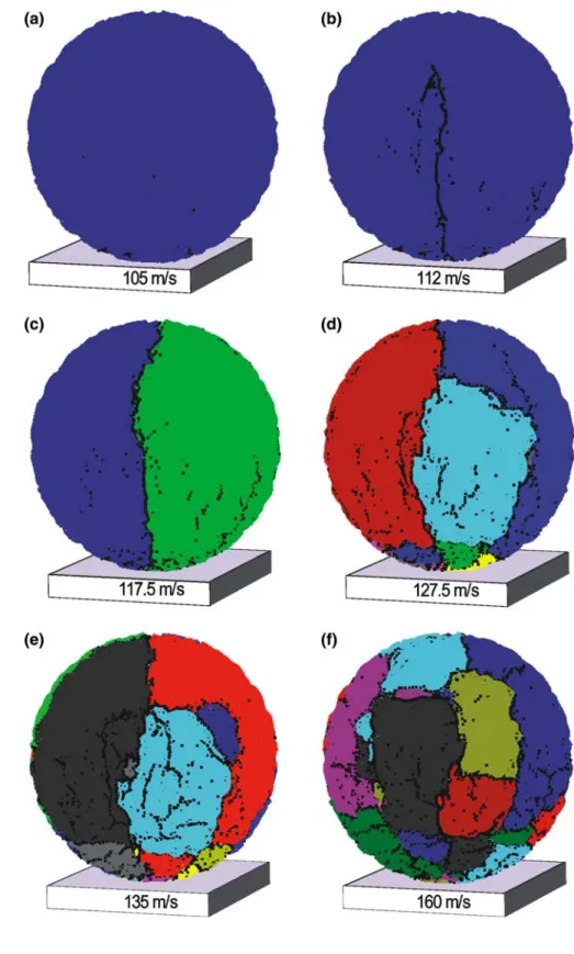 Fig. 6 Final crack patterns for different initial velocities. Elements are projected to their initial positions for clearer view of the crack patterns