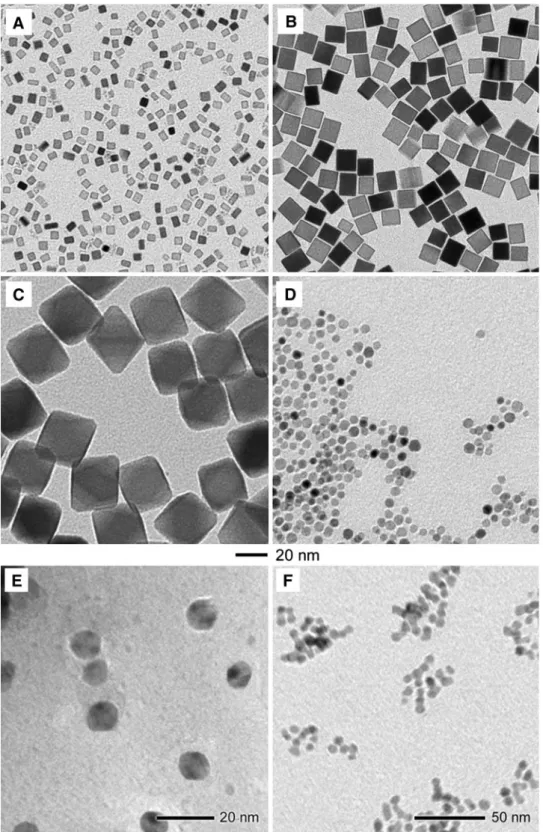 Fig. 1 TEM images of the samples used in this work.