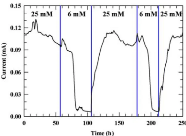 Fig. 1 Electricity output for column system with varying influent lactate concentrations (flow rate = 1.8 ml/h)