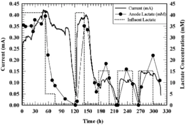 Fig. 2 Electricity output for column system with varying influent lactate concentrations, where influent lactate  concen-trations are indicated by a dashed line