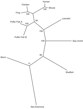Fig. 2 Phylogenetic tree of FGFRL1 from ten different species. An unrooted tree was built by the neighbor-joining methods