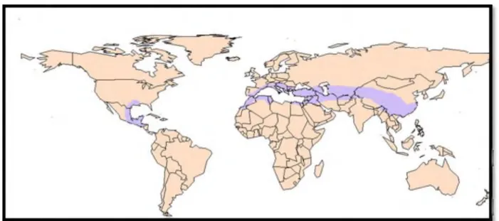 Figure 8: Distribution géographique de genre Pistacia [5]