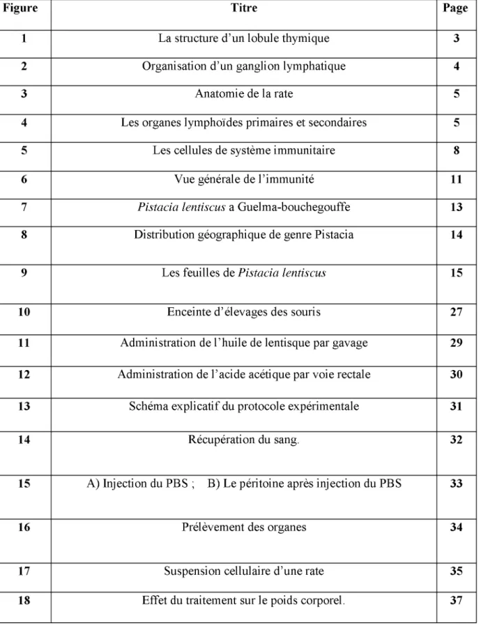 Figure Titre Page