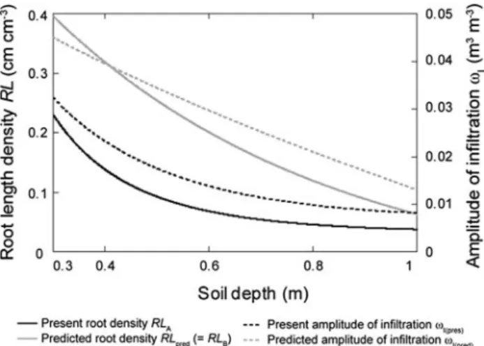 Figure 11 shows the fitted root densities according to Fig. 10, and the present and predicted amplitudes of  infil-tration based on Eqs