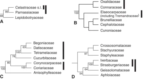 Fig. 2. Best supported clades (solid vertical bar) by ﬂoral structure, plus jackknife or bootstrap values.