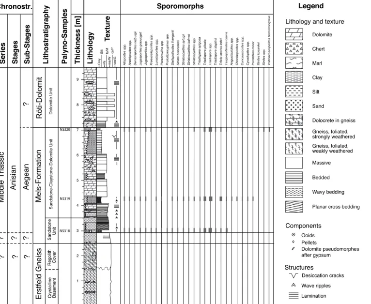 Fig. 2. Stratigraphy of the Scheidnössli section with chronostratigraphic interpretation, lithology and distribution of palynomorphs.