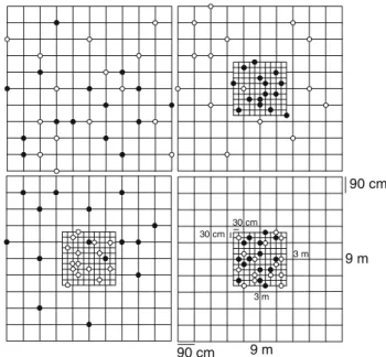 Fig. 1 Scheme of the experimental design showing the four aggregation treatments. For low aggregation levels of  Dacty-lorhiza sambucina (open circles) and Muscari neglectum (filled circles), pots were distributed in a 9 m · 9 m array