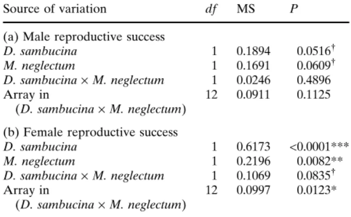 Table 1 Effects of Dactylorhiza sambucina and Muscari neglec- neglec-tum aggregation levels, of their interaction (D